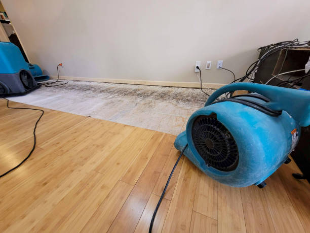 Professional Water Removal technician working in Lansdowne, PA